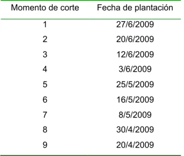 Tabla 2. Cronograma de plantación de las cámaras y corte de esquejes durante la  época de primavera