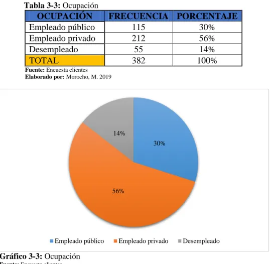 Gráfico 3-3: Ocupación  