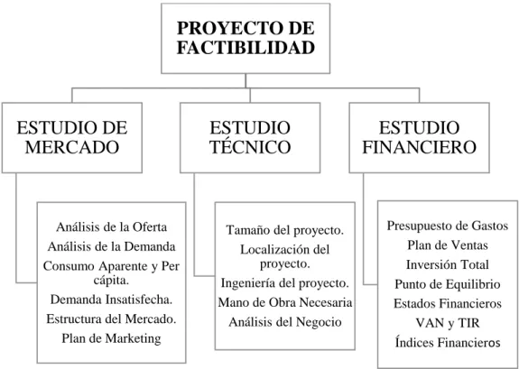 Figura 1-4: Proyecto de Factibilidad  