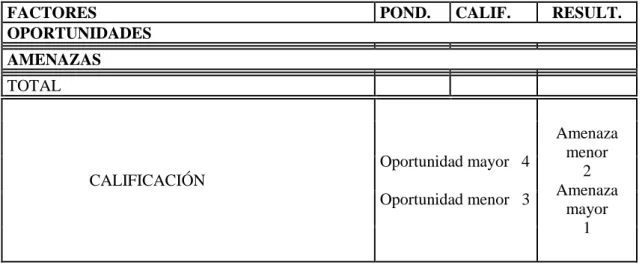 Tabla 2-1: Matriz de evaluación de factores externos  