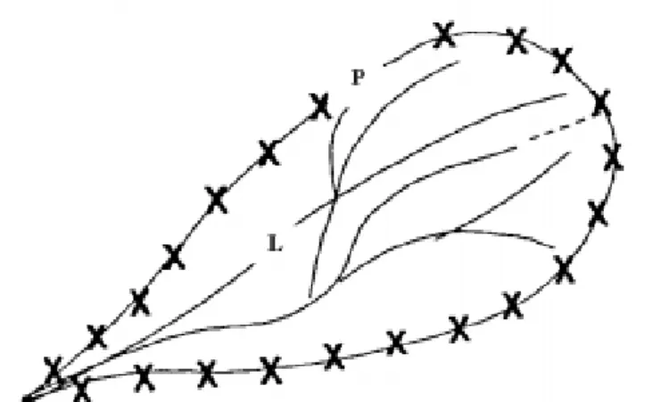 Figura 1. Longitud axial y perímetro de la cuenca. 