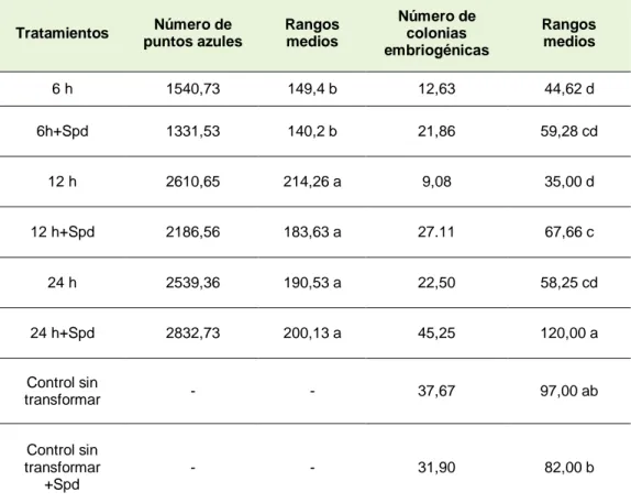 Tabla  5.  Efecto  del  tiempo  y  la  espermidina  (Spd,  1  mM)  durante  la  inoculación  de  suspensiones  celulares embriogénicas  de  Musa  cv