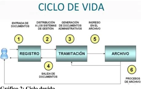 Gráfico 2: Ciclo devida 