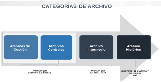 Gráfico 4: Categorías de Archivo