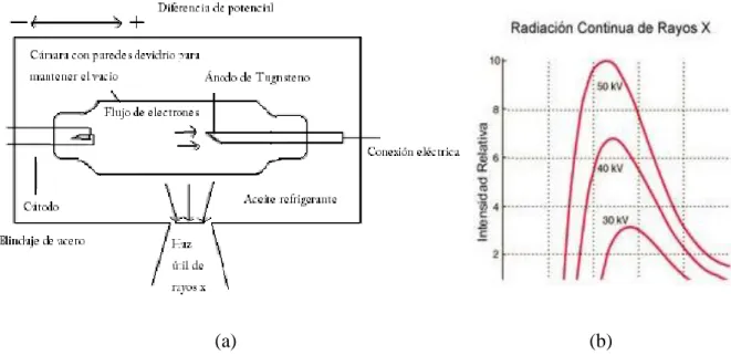 Figura 1. (a) Esquema de la producción de los rayos x [10], (b) Espectro continuo.  