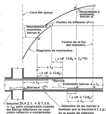 Fig. 1.3 Longitud de desarrollo del refuerzo por flexión en una viga continua típica  (Comité ACI 318, 2014).