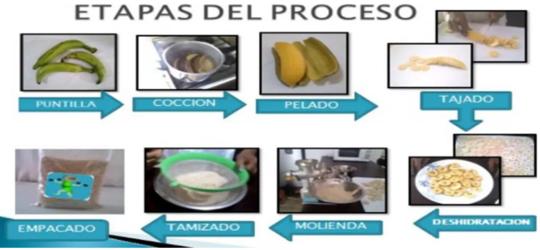 Gráfico 2: Procedimiento para la elaboración de harina de plátano 