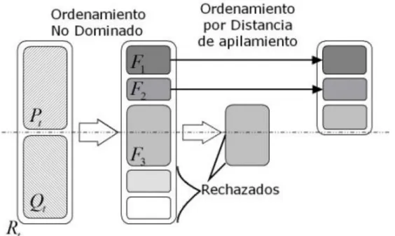 Figura 2. Diagrama esquemático del mecanismo de promoción de individuos  del NSGA-II 