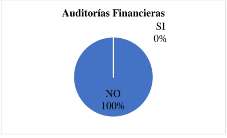 Gráfico 1-3. Auditorías Financieras 