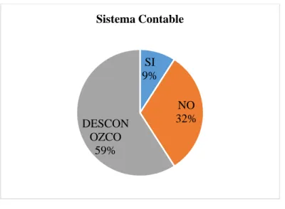 Gráfico 2-3. Sistema Contable 
