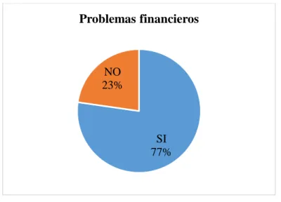 Gráfico 3-3. Problemas financieros 