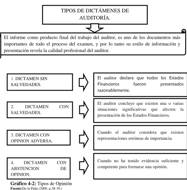 Gráfico 4-2: Tipos de Opinión