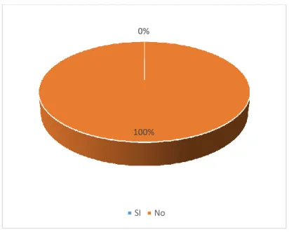 Gráfico 3- 3: Organigrama estructural y funcional