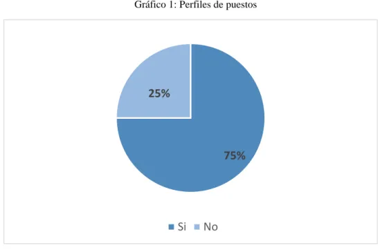 Gráfico 1: Perfiles de puestos