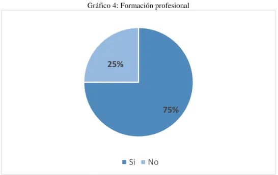 Gráfico 4: Formación profesional
