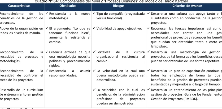 Cuadro Nº 04: Componenetes del Nivel 2 “Procesos Comunes” del Modelo de Harold Kerzner 