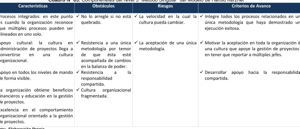 Cuadro Nº 05: Componenetes del Nivel 3 “Método Singular” del Modelo de Harold Kerzner 