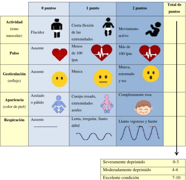 Figura 3-1 APGAR para evaluar la condición del neonato 