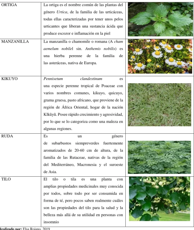 Tabla 3- 5: Componentes bióticos - Fauna  