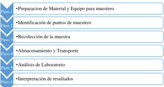Gráfico 1-2. Pasos de un proceso de muestreo 