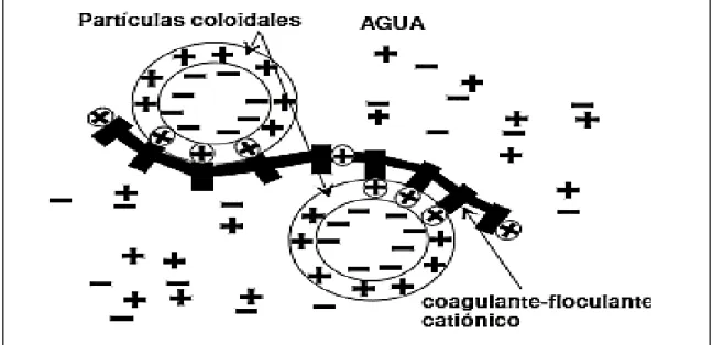 Figura 1-1: Esquema del funcionamiento de los reactivos de coagulación y floculación.  