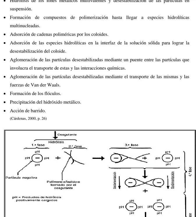 Figura 4-1: Proceso de coagulación.   