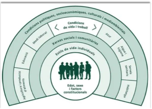 Figura 1: Model de determinants de la salut de Dahlgren i Whitehead, 1991. Modificat per l’ASPB