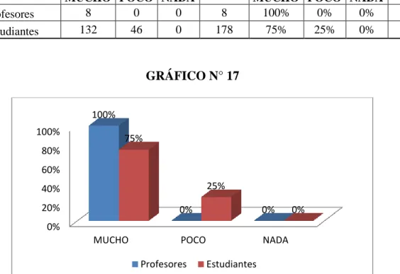 GRÁFICO N° 17 