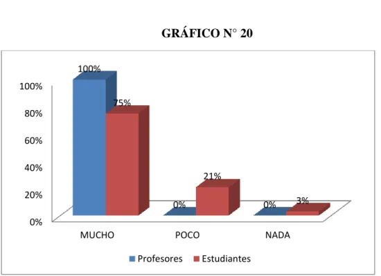 GRÁFICO N° 20 