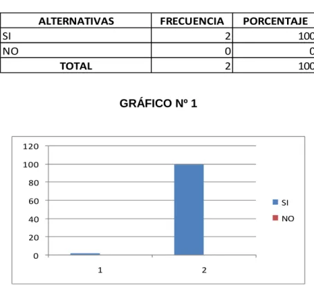 GRÁFICO Nº 1 