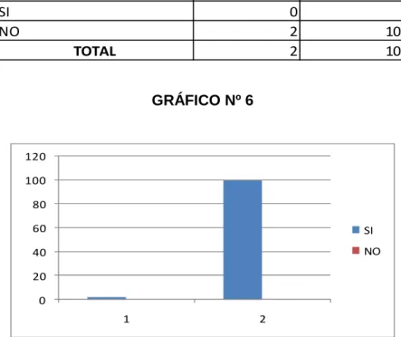 GRÁFICO Nº 6 