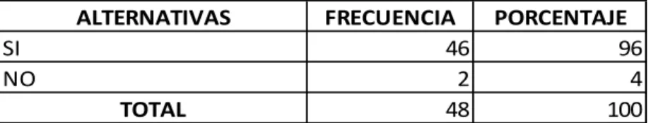 GRÁFICO Nº 13 