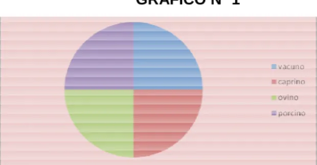 GRÁFICO Nº 1 