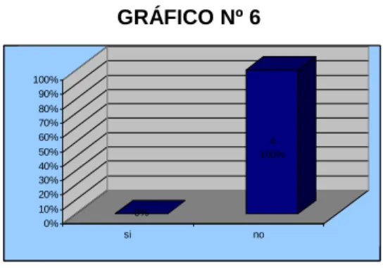 GRÁFICO Nº 6 