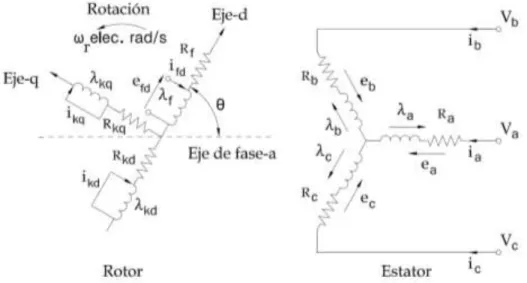 Figura 10. Devanados del Rotor y Estator del Motor Síncrono  2.5.1  ECUACIONES EN COORDENADAS DE FASE 