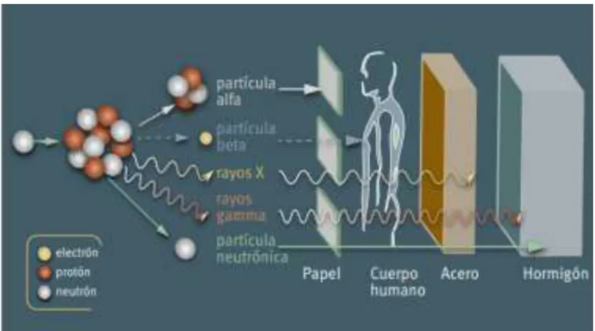 Figura  1-2: Poder de penetración de las partículas 