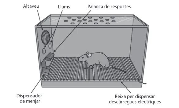 Figura 8.  Representació gràfica de la caixa de Skinner.