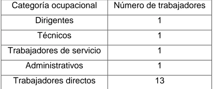 Tabla 2.2. Composición por categoría ocupacional 
