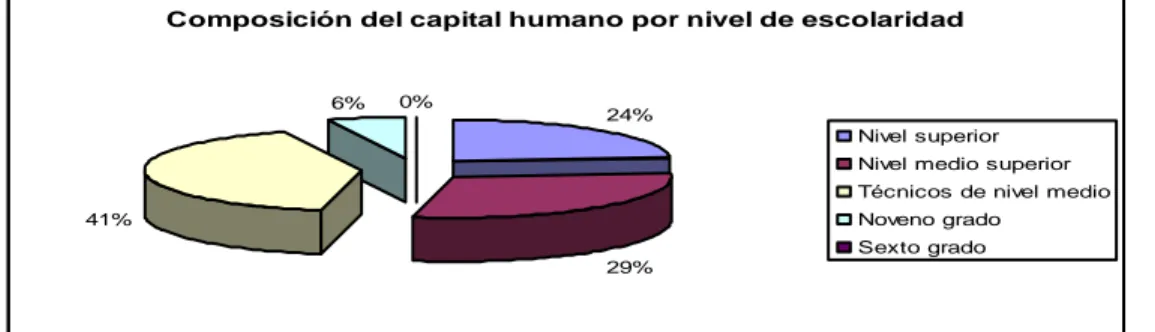 Figura 2.3. Composición del capital humano por nivel de escolaridad  Composición por edades 