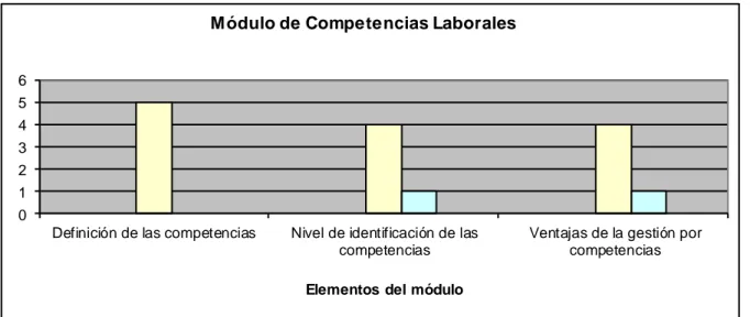 Figura 2.13. Resultados de la puntuación del módulo de Competencias Laborales 