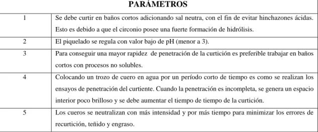 Tabla 6-2: Parámetros para la curtición al circonio  PARÁMETROS 