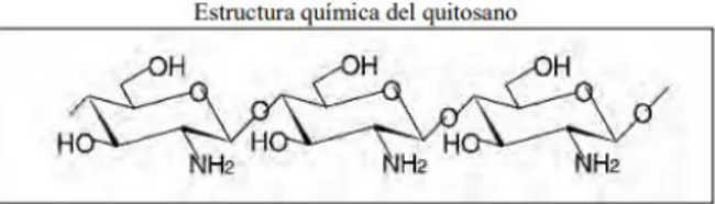 Figura 11-1:    Estructura química del quitosano. 