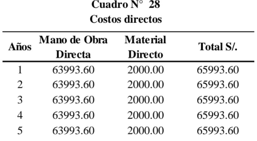 Cuadro N°  28  Costos directos 