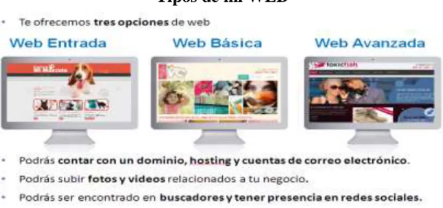 Figura N° 10  Tipos de mi WEB 