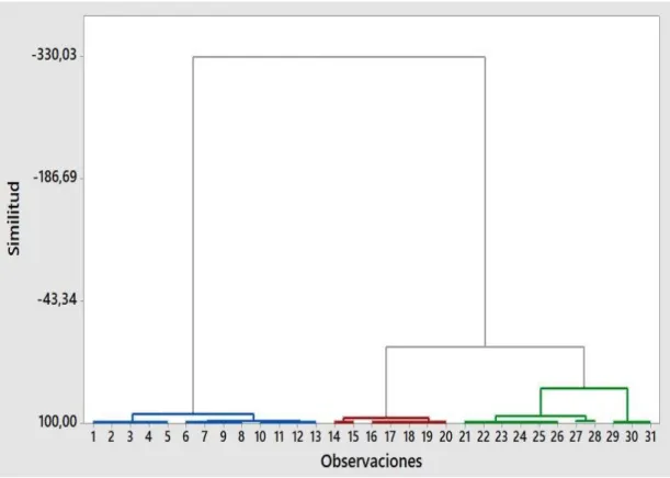 Gráfico 3-3: Dendrograma espacial de los cluster. 