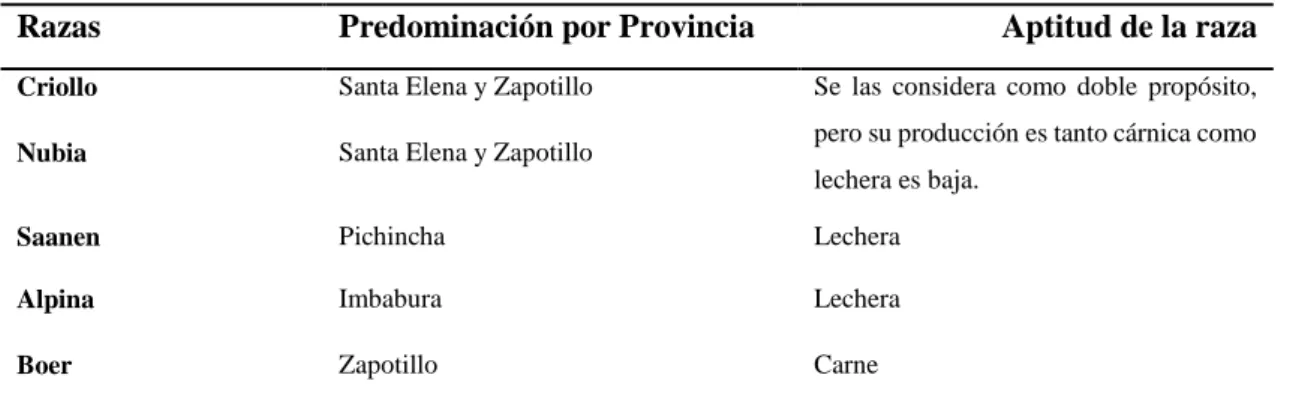 Tabla 1-1:    Razas comerciales de caprinos en el Ecuador. 