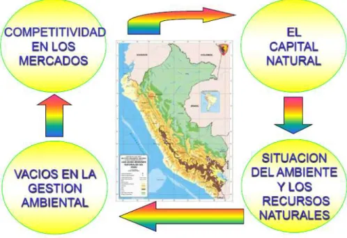 Gráfico N° 2: Diagnóstico Ambiental en Perú 
