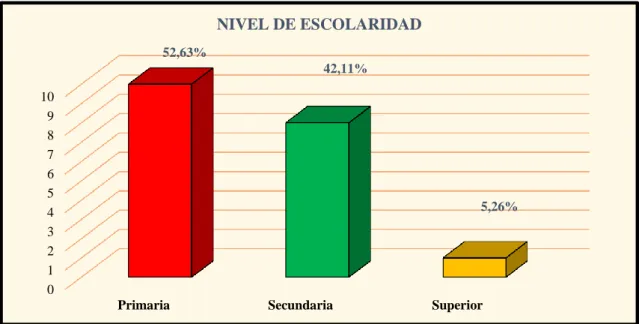 Gráfico 4-2: Nivel de escolaridad 