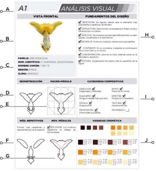 Tabla 32-2: Análisis visual y formal de cada especie de orquídea 