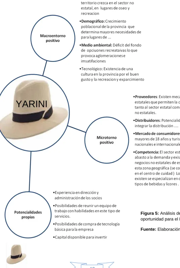 Figura 5: Análisis de 